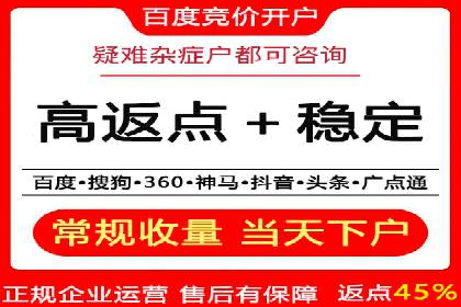 行业专家解析SEM代运营成功案例
